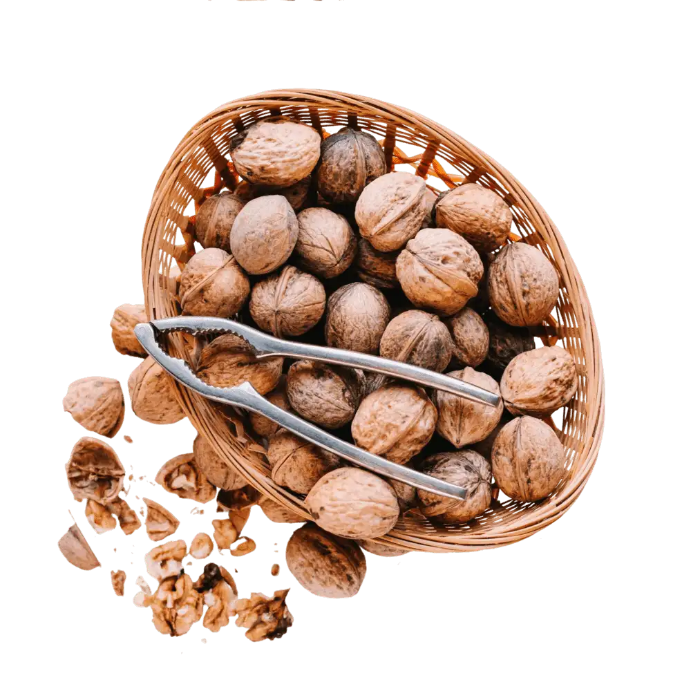 Cesto di noci con gusci e schiaccianoci.