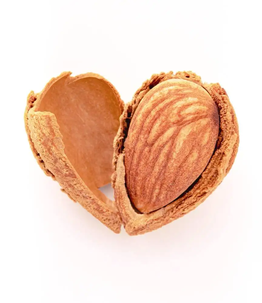 Mandorla sgusciata a forma di cuore.